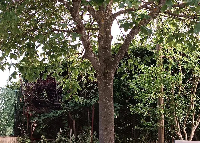 La Casa Di Lucia Отель типа 